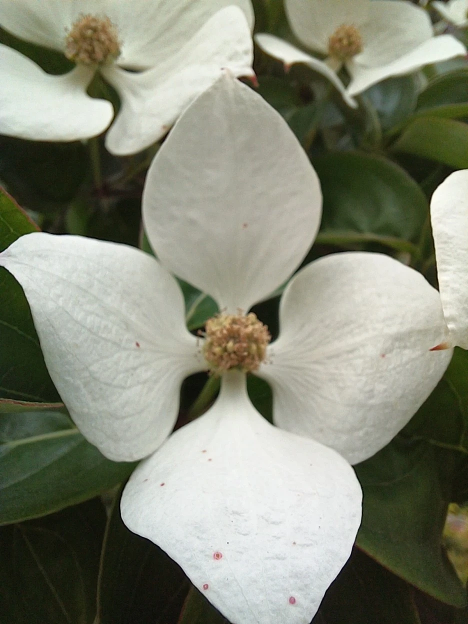 20230513_160014.jpg?type=w1