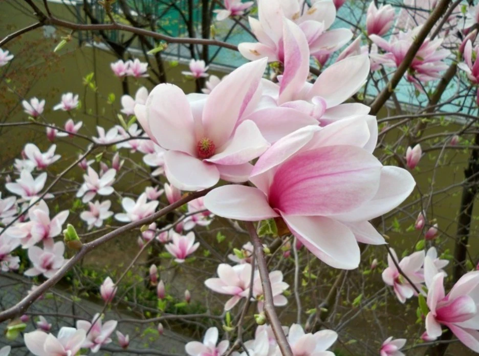 %EC%9B%B9_%EC%BA%A1%EC%B2%98_6-3-2022_73927_blog.daum.net.jpeg?type=w1