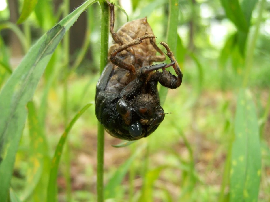 %EB%A7%A4%EB%AF%B8%ED%83%88%EB%B0%941.jpg?type=w1