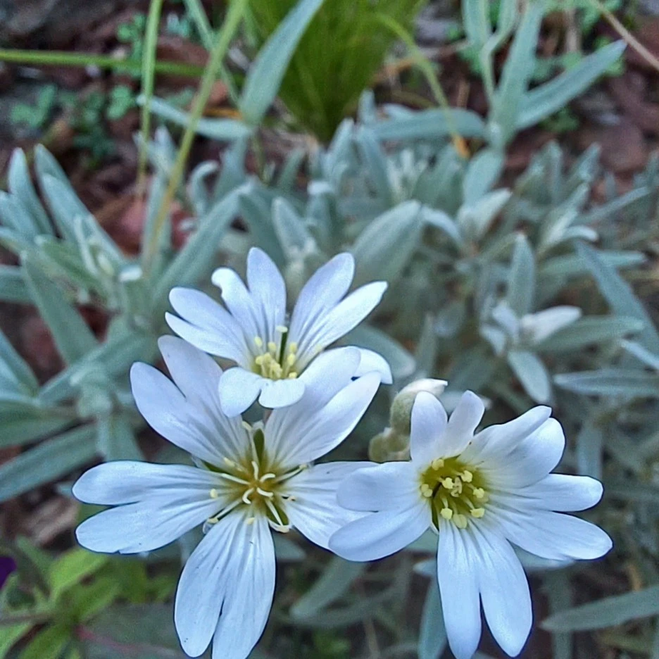 20220527_183536.jpg?type=w1