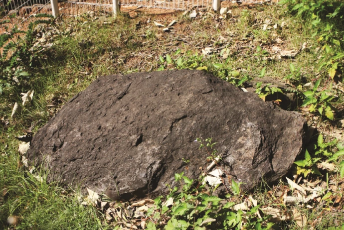 %EB%8B%A4%EC%9A%B4%EB%A1%9C%EB%93%9C.png?type=w1