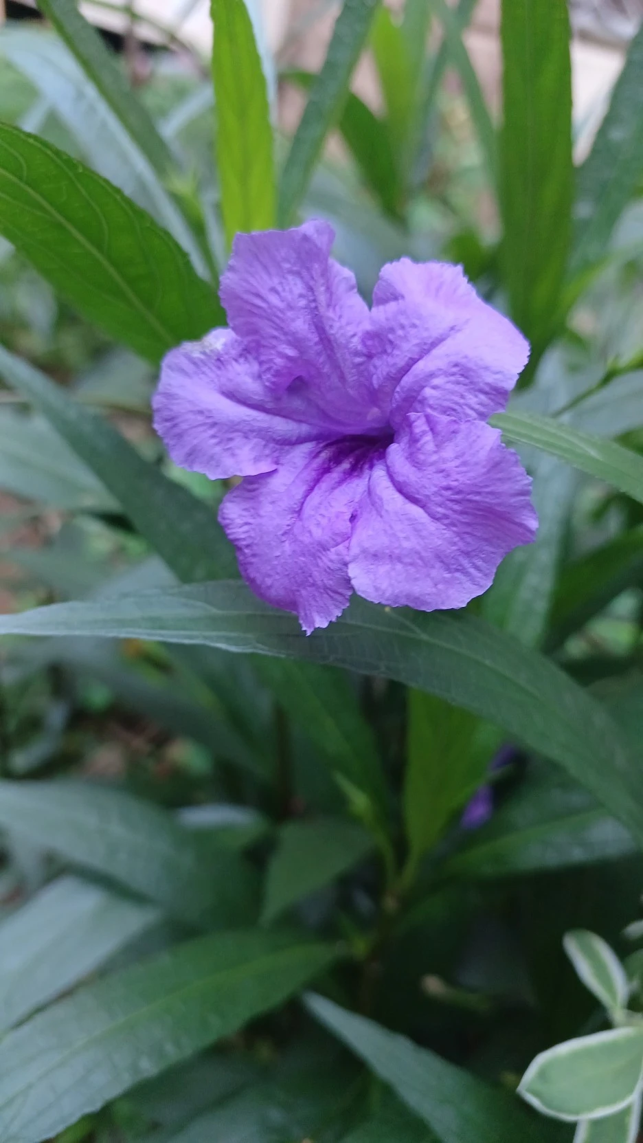 20220818_063115.jpg?type=w1