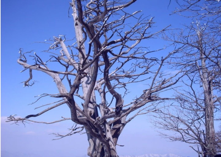 %EC%9B%B9_%EC%BA%A1%EC%B2%98_19-2-2022_124013_blog.daum.net.jpeg?type=w1