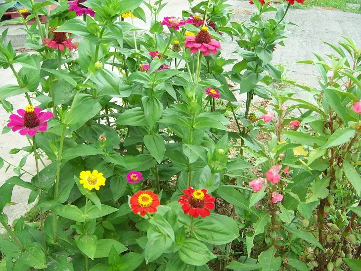 result_2006_7_5_7_12_7_921_24-lysook7.jpg?type=w1