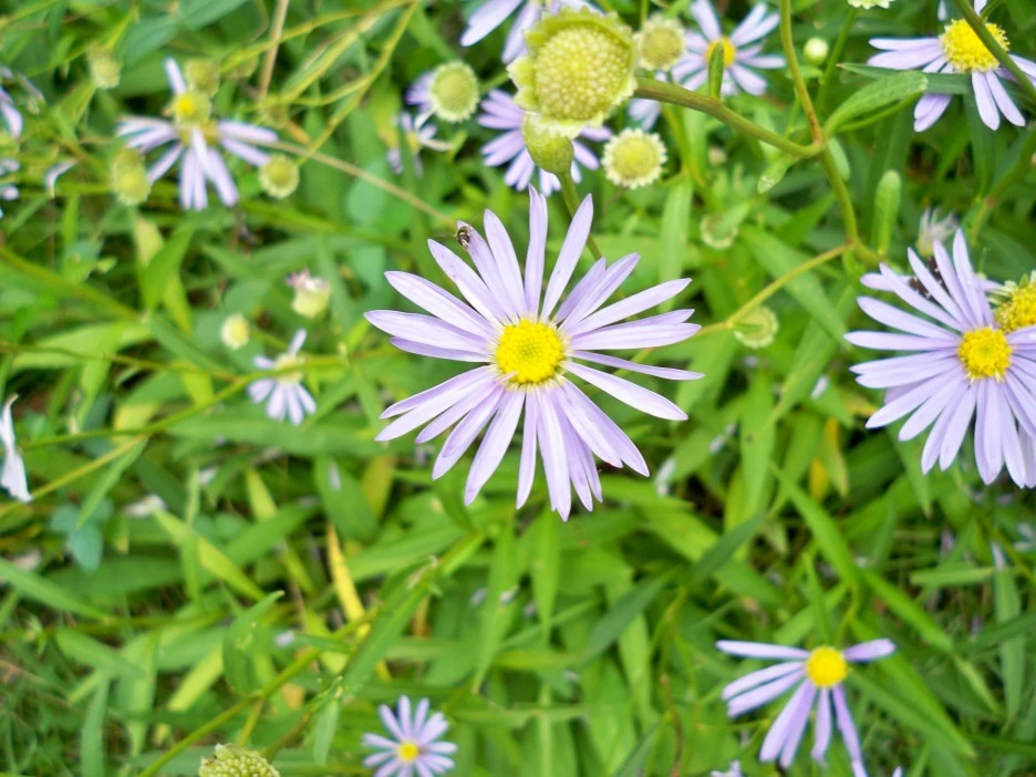 %EC%82%AC%EC%A7%84_031.jpg?type=w1