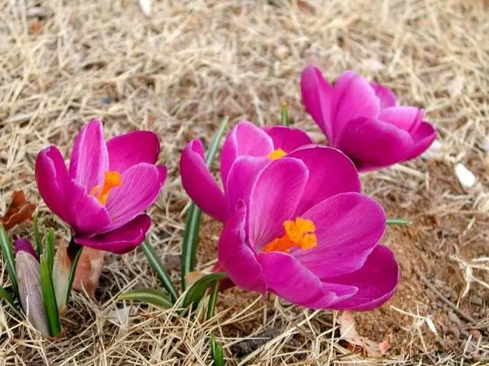 1245816351_200906241309414576233901_0.jpg?type=w1