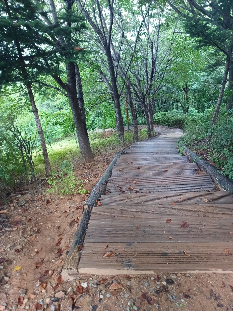 20220829_135133.jpg?type=w1