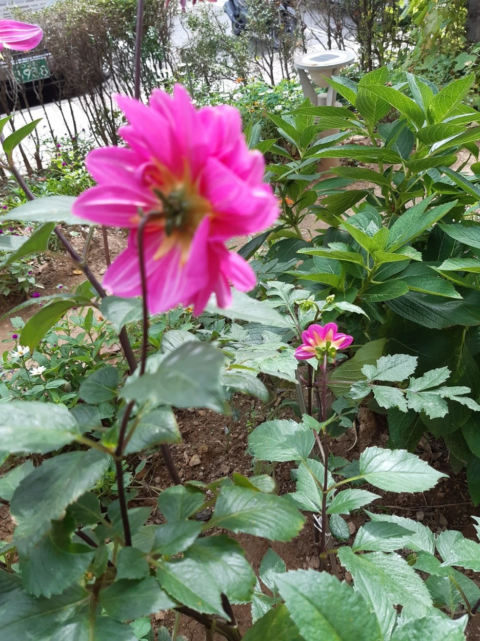 20200929_132941.jpg?type=w1