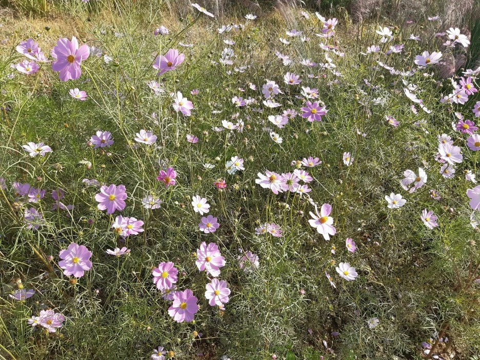 20211023_145410.jpg?type=w1