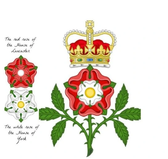 금 양털 훈장의 목걸이를 차고 튜더 가문의 장미를 손에 든 헨리 7세의 초상화 (1505년경, 무명 화가 작품, 국립초상화 미술관, 런던).jpeg