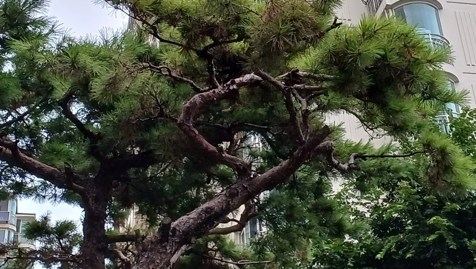 SE-ef930b7b-64ec-40e2-8fb0-84450cb88594.jpg?type=w1