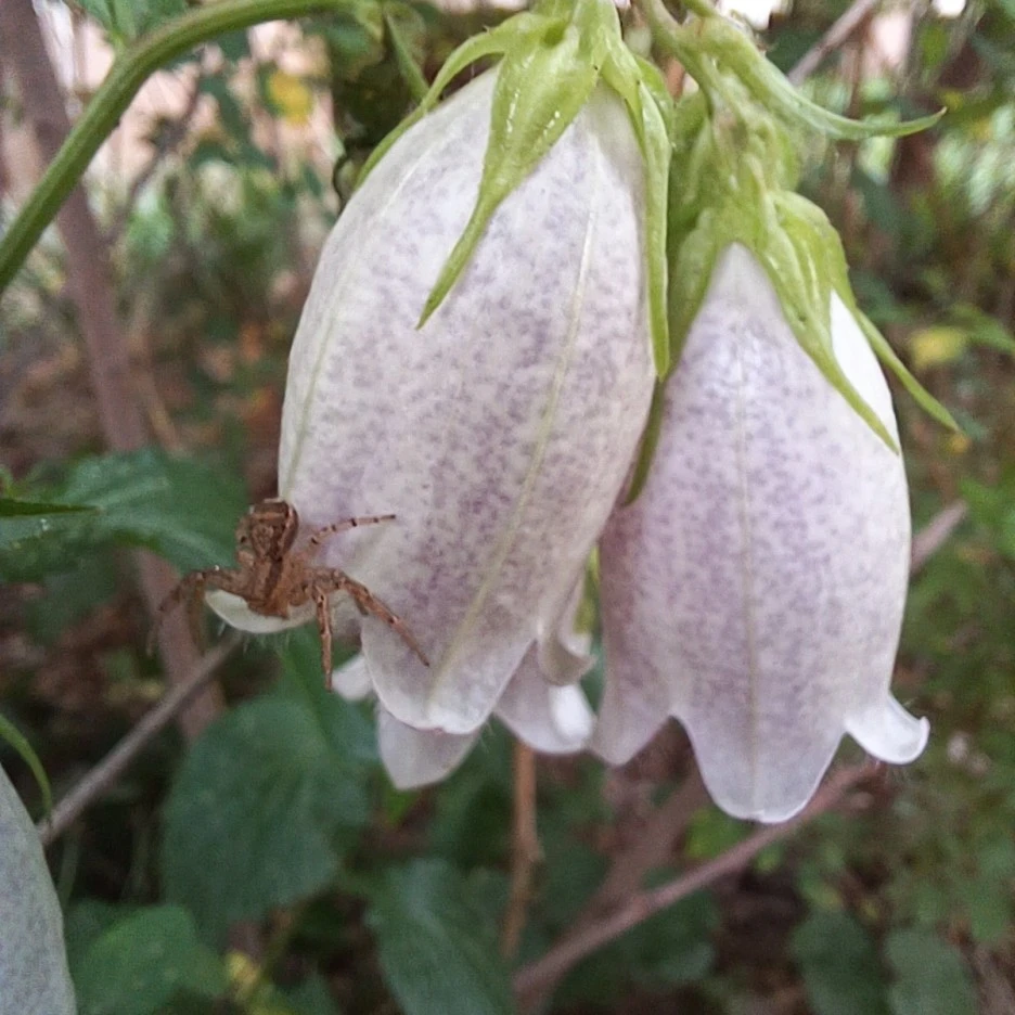 20220529_083223.jpg?type=w1