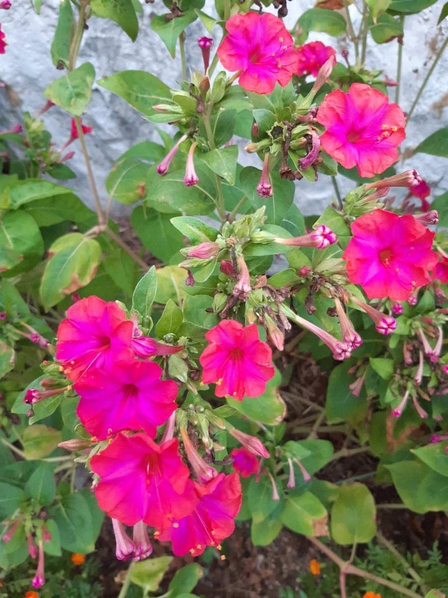 20210819%EF%BC%BF185423.jpg?type=w1