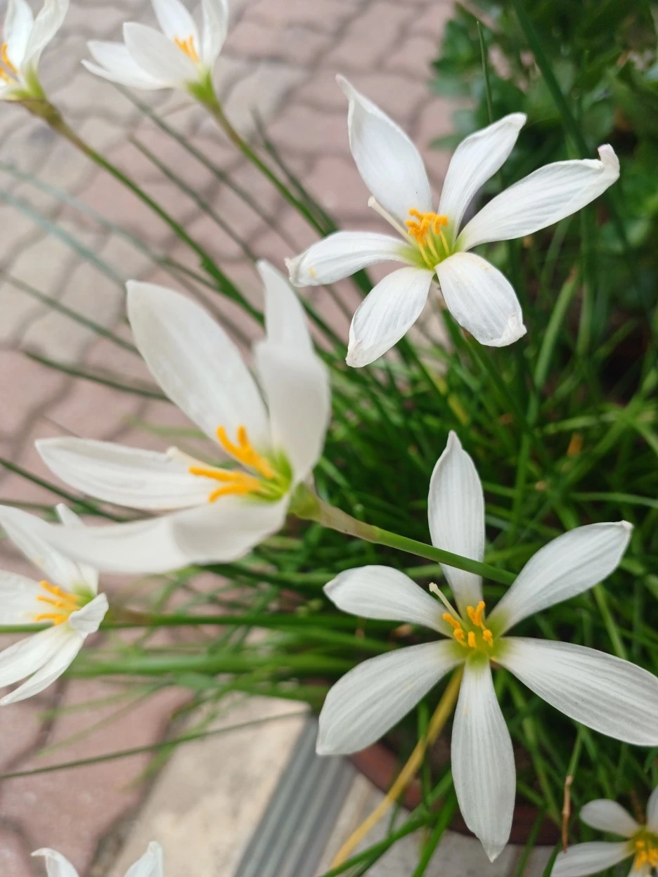 20220920_125314.jpg?type=w1