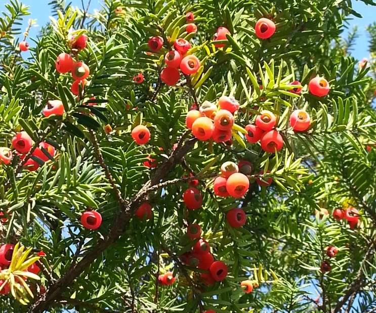 SE-59a763a2-0afd-4f97-8459-0799e63a144e.jpg?type=w1