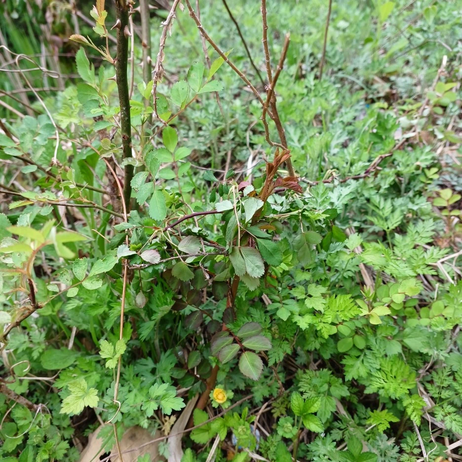 20220430_113559.jpg?type=w1