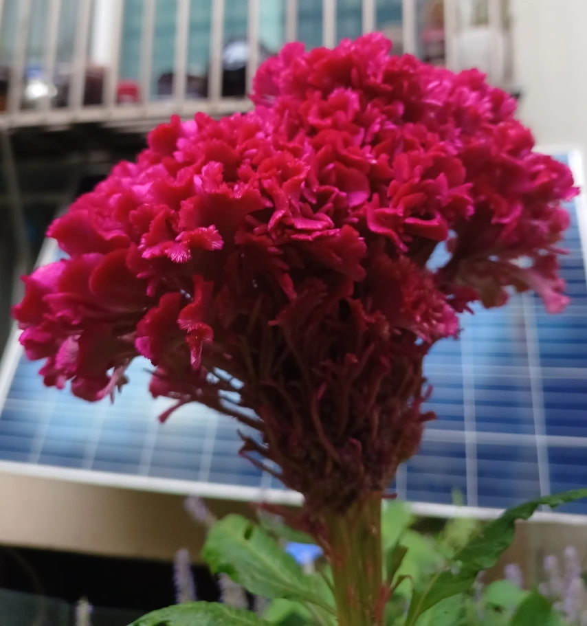 SE-12b57195-317c-11ed-9946-11992c5eeb63.jpg?type=w1