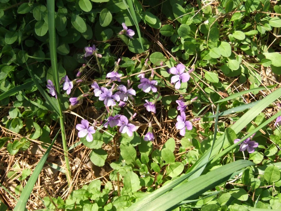 DSCF1659.JPG?type=w1