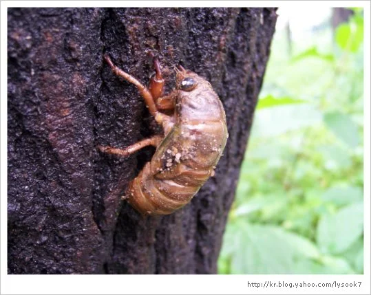 img_33_461_1.jpg?type=w1