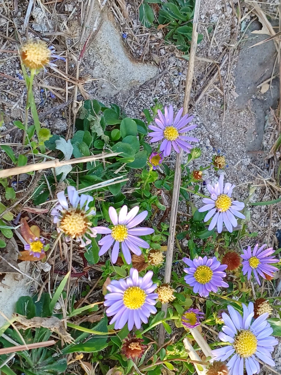 20221023_081219.jpg?type=w1