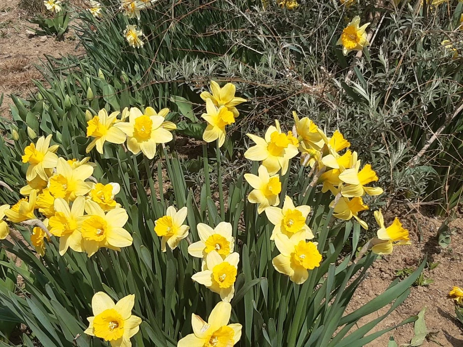 20220409_115246.jpg?type=w1