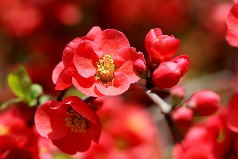 the-phone-6140815_1920.jpg?type=w1