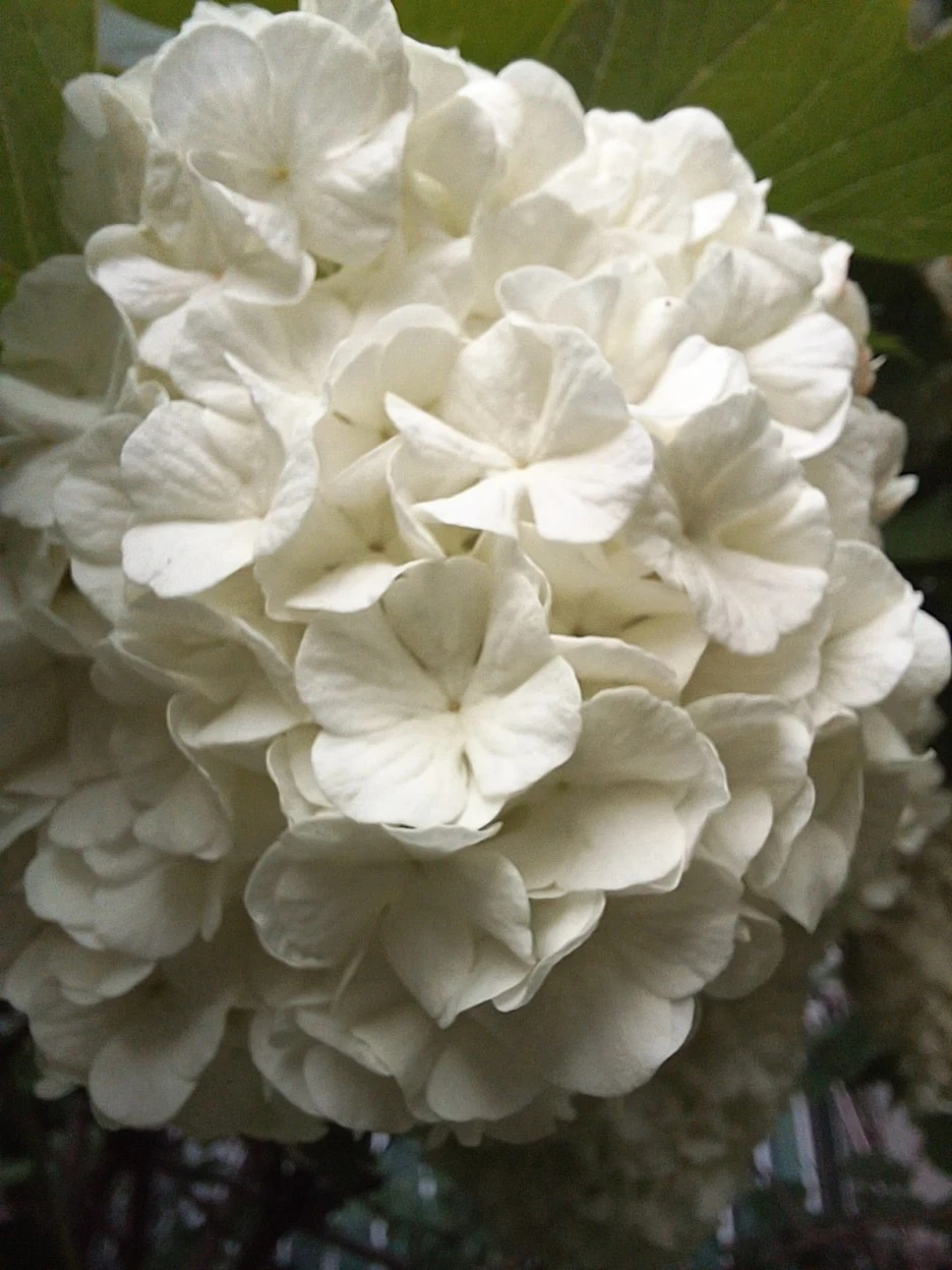 20230507%EF%BC%BF173943.jpg?type=w1