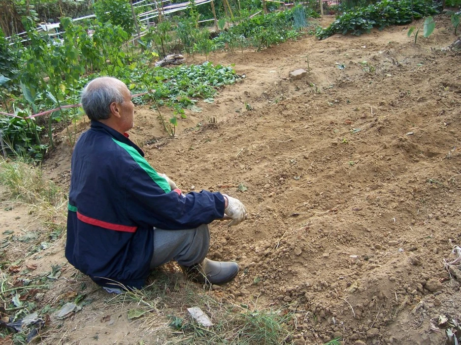 0_%EA%B0%80%EA%B0%80_%EC%8B%A0%ED%8A%B8%EB%A6%AC_%EC%95%84%EC%A0%80%EC%94%A8.jpg?type=w1