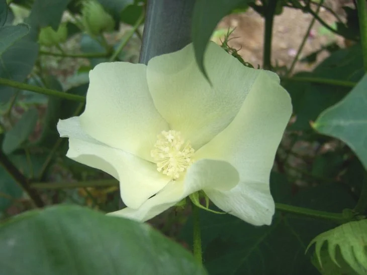 result_2006_8_1_16_56_5_46_2-lysook7.jpg?typew1