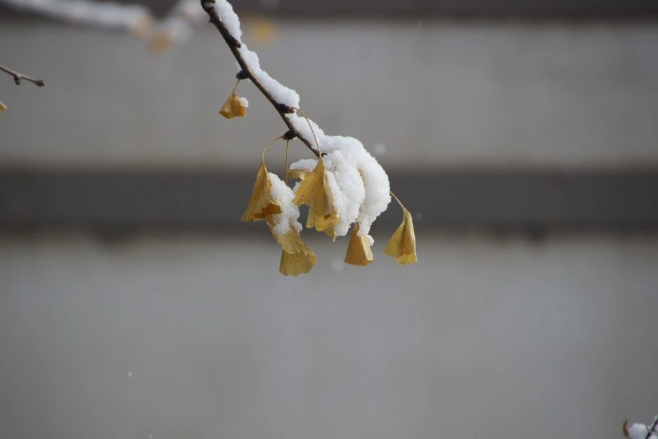 scene-5789752_1920.jpg?type=w1