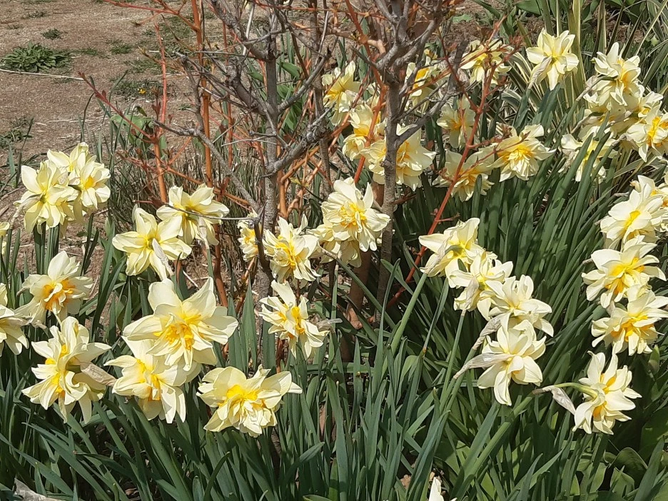 20220409_115230.jpg?type=w1