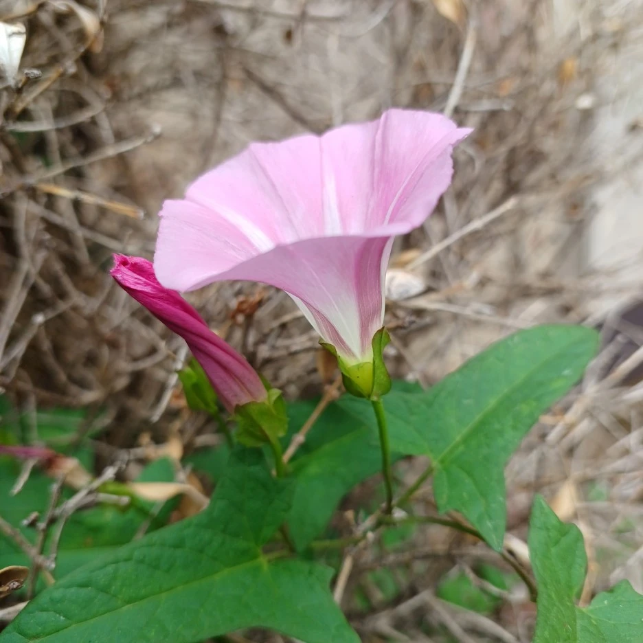 20220530_111040.jpg?type=w1