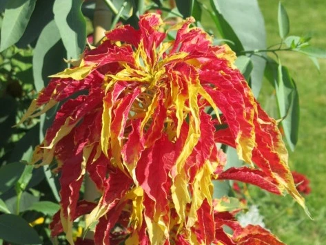 SE-69c8ba6a-0692-4305-b156-cf85ea8e000f.jpg?type=w1