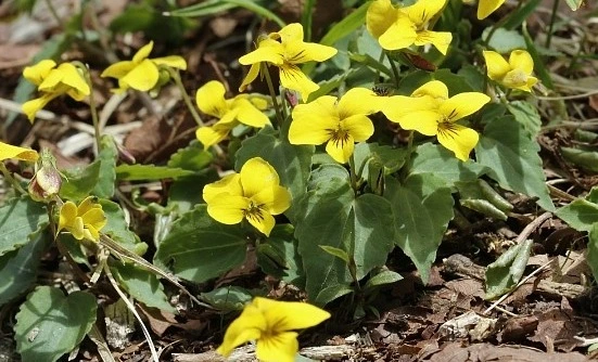 %EC%9B%B9_%EC%BA%A1%EC%B2%98_6-1-2023_11166_blog.naver.com.jpeg?typew1