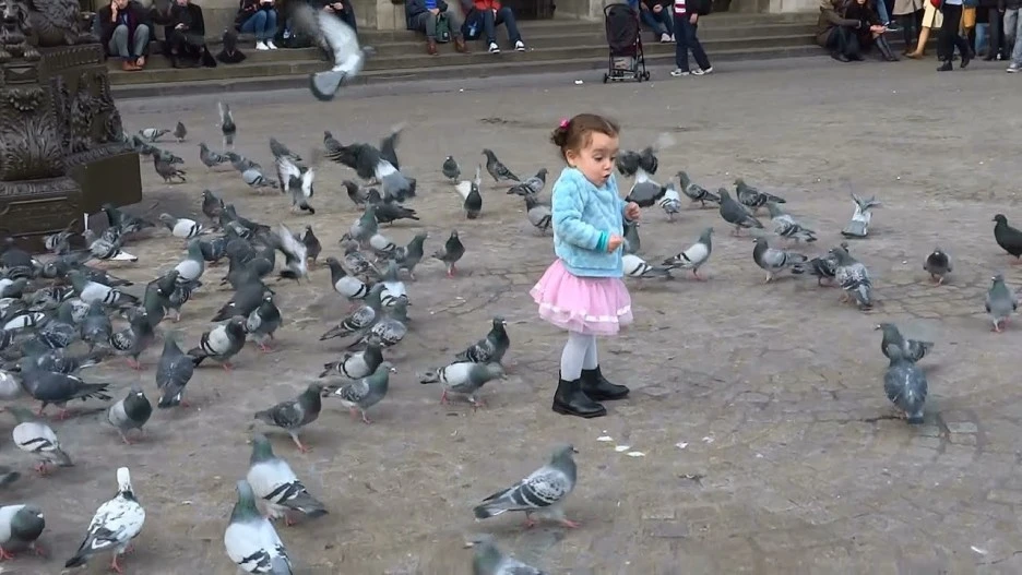 %EA%B4%91%EC%9E%A5%EC%9D%98_%EB%B9%84%EB%91%98%EA%B8%B0%EC%99%80_%EC%86%8C%EB%85%80.jpg?type=w1