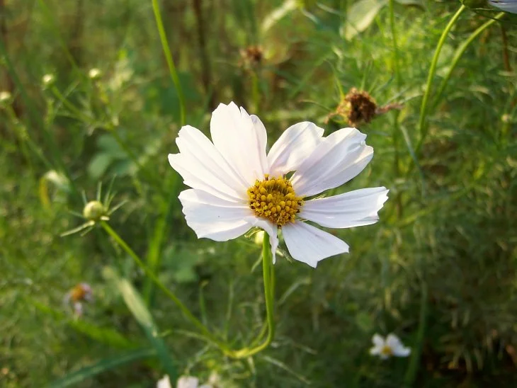 result_2006_8_6_11_35_34_343_28-lysook7.jpg?type=w1