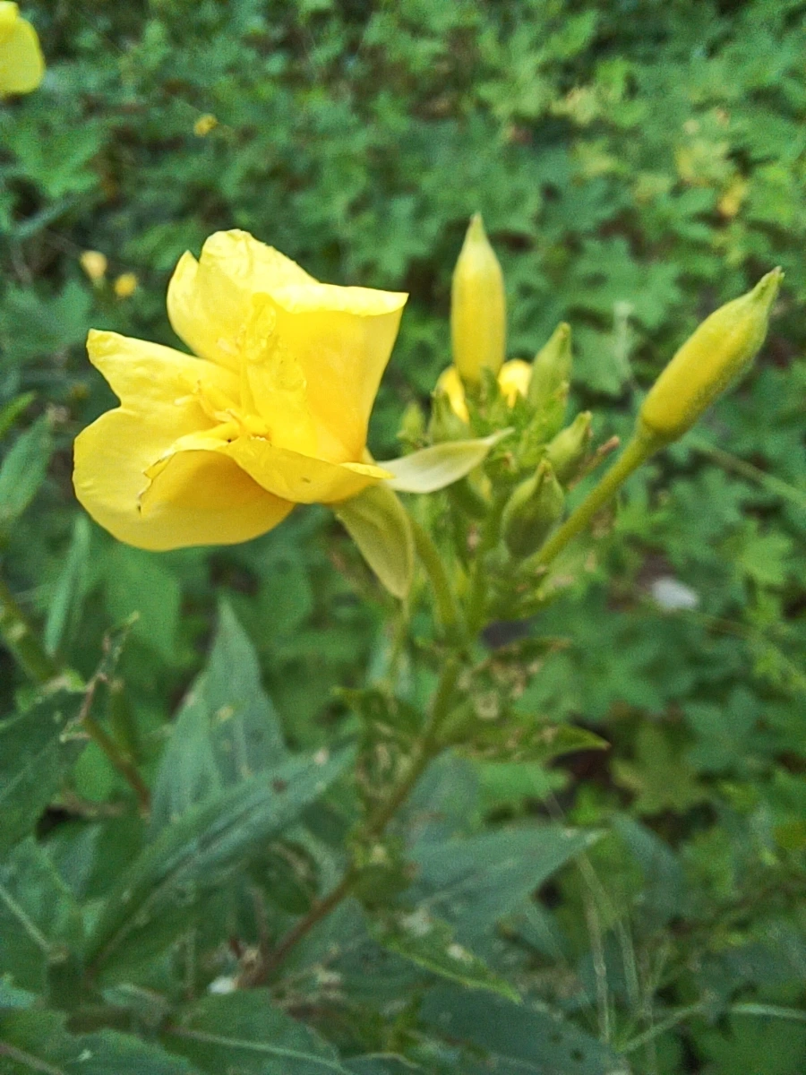 20220903%EF%BC%BF114548.jpg?type=w1