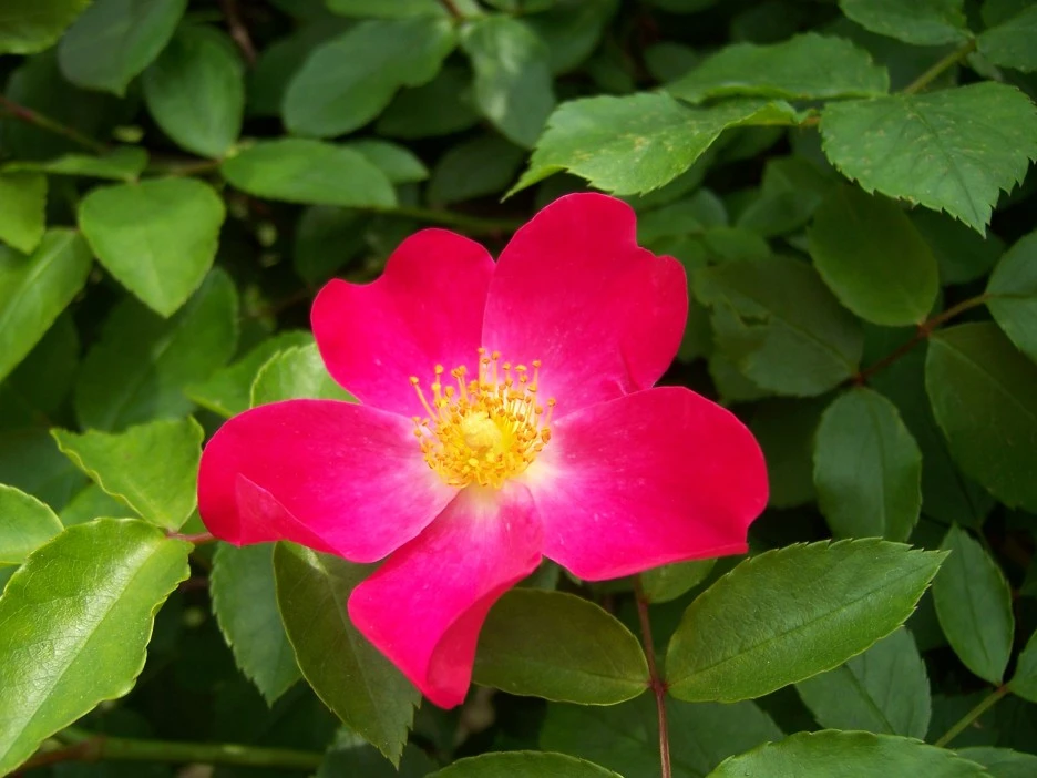 100_1803.jpg?type=w1