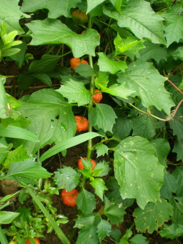 %EB%8B%A4%EC%9A%B4%EB%A1%9C%EB%93%9C_(6).jpg?typew1