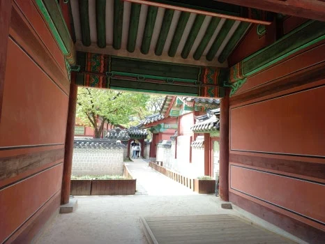 20241009_123404.jpg?type=w466