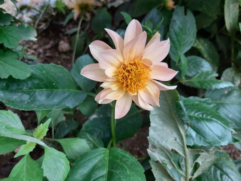 20201001_125331.jpg?type=w1