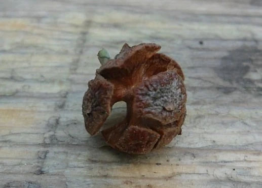 Screenshot_2022-12-28_at_11.51.36.JPG?type=w1