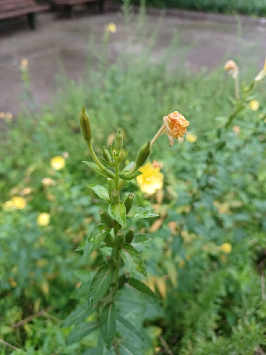 20220829%EF%BC%BF065320.jpg?type=w1