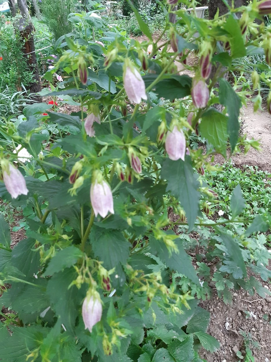 20200618_182700.jpg?type=w1