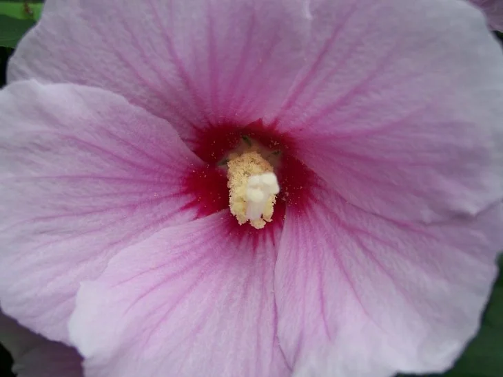 result_2006_7_2_13_53_11_312_37-lysook7.jpg?type=w1