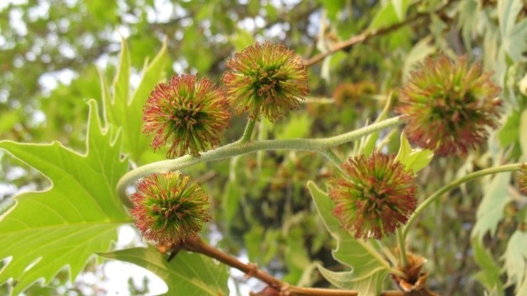 %EB%8B%A4%EC%9A%B4%EB%A1%9C%EB%93%9C_(1).jpg?typew1