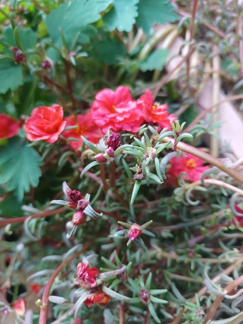 20221015_150054.jpg?type=w1