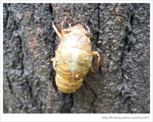 img_33_461_6.jpg?type=w1