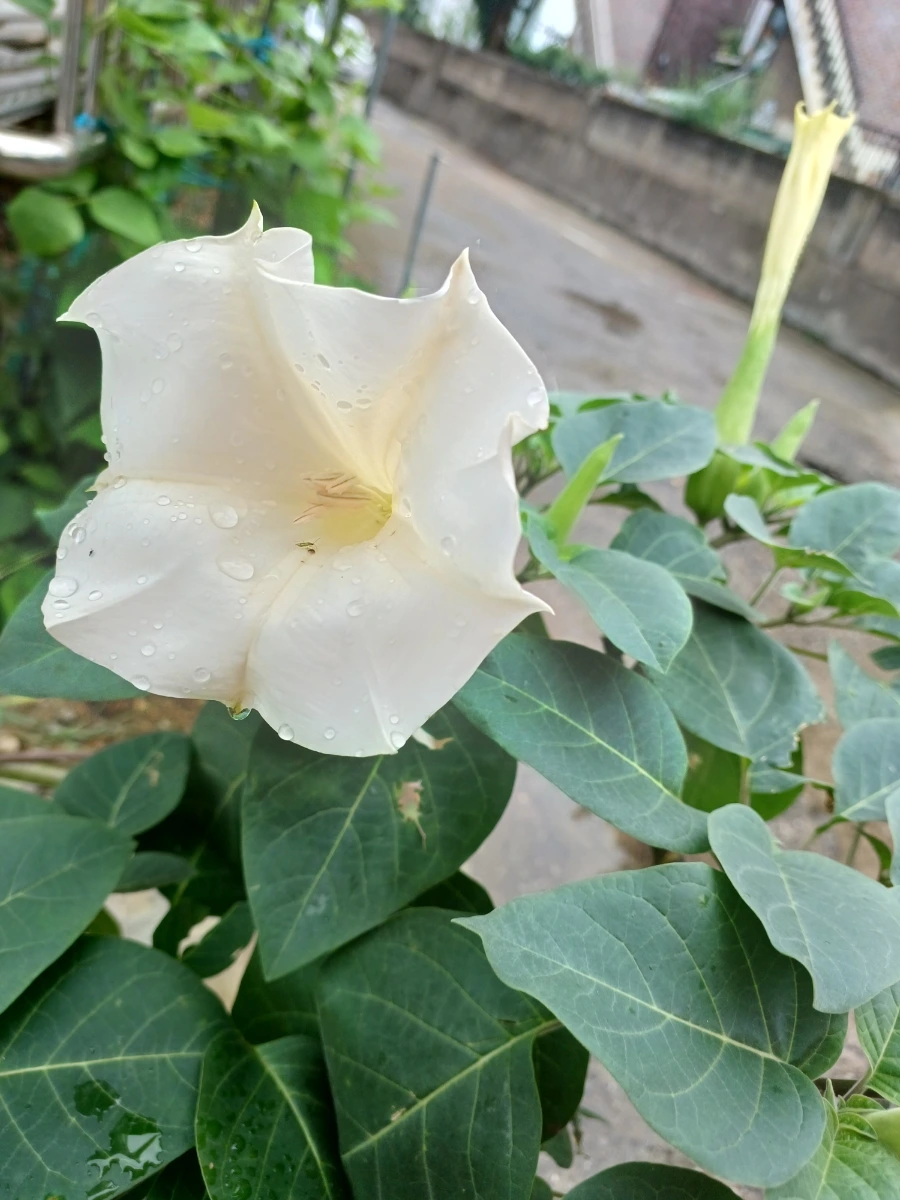 20220829%EF%BC%BF135933.jpg?type=w1