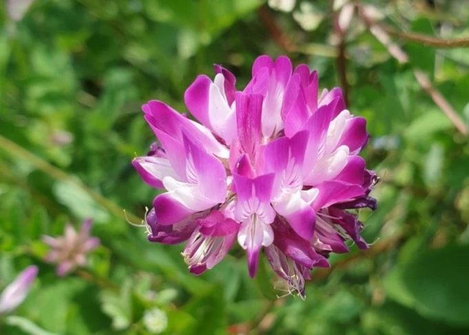 %EC%9B%B9_%EC%BA%A1%EC%B2%98_1-3-2023_14217_blog.naver.com.jpeg?type=w1